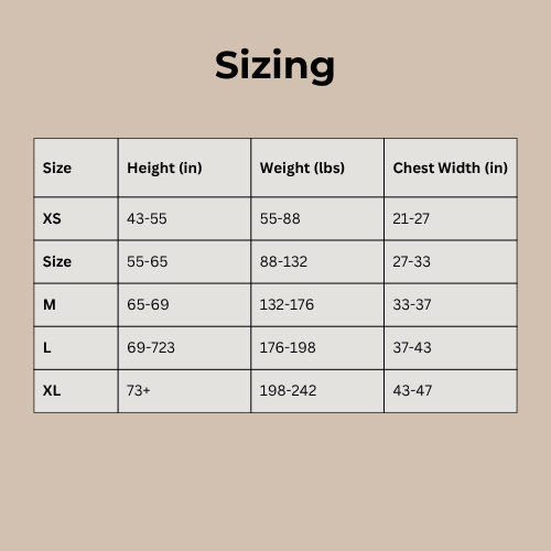 Conmova Align Posture Support Band
